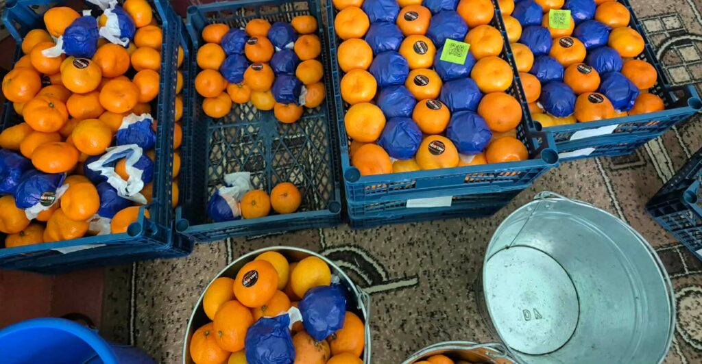 FB_IMG_1766950964622